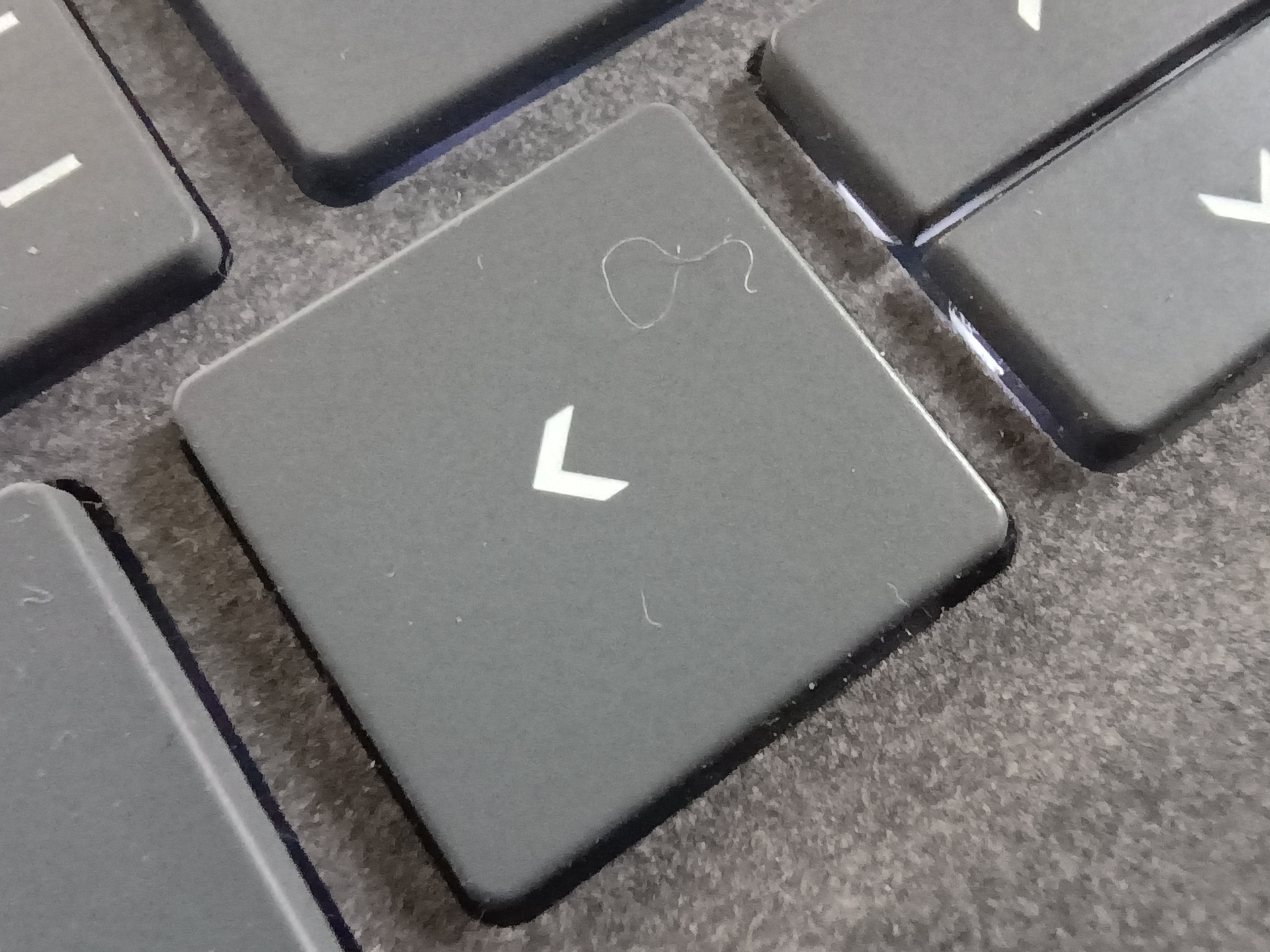 Motorola G54 Power Edition