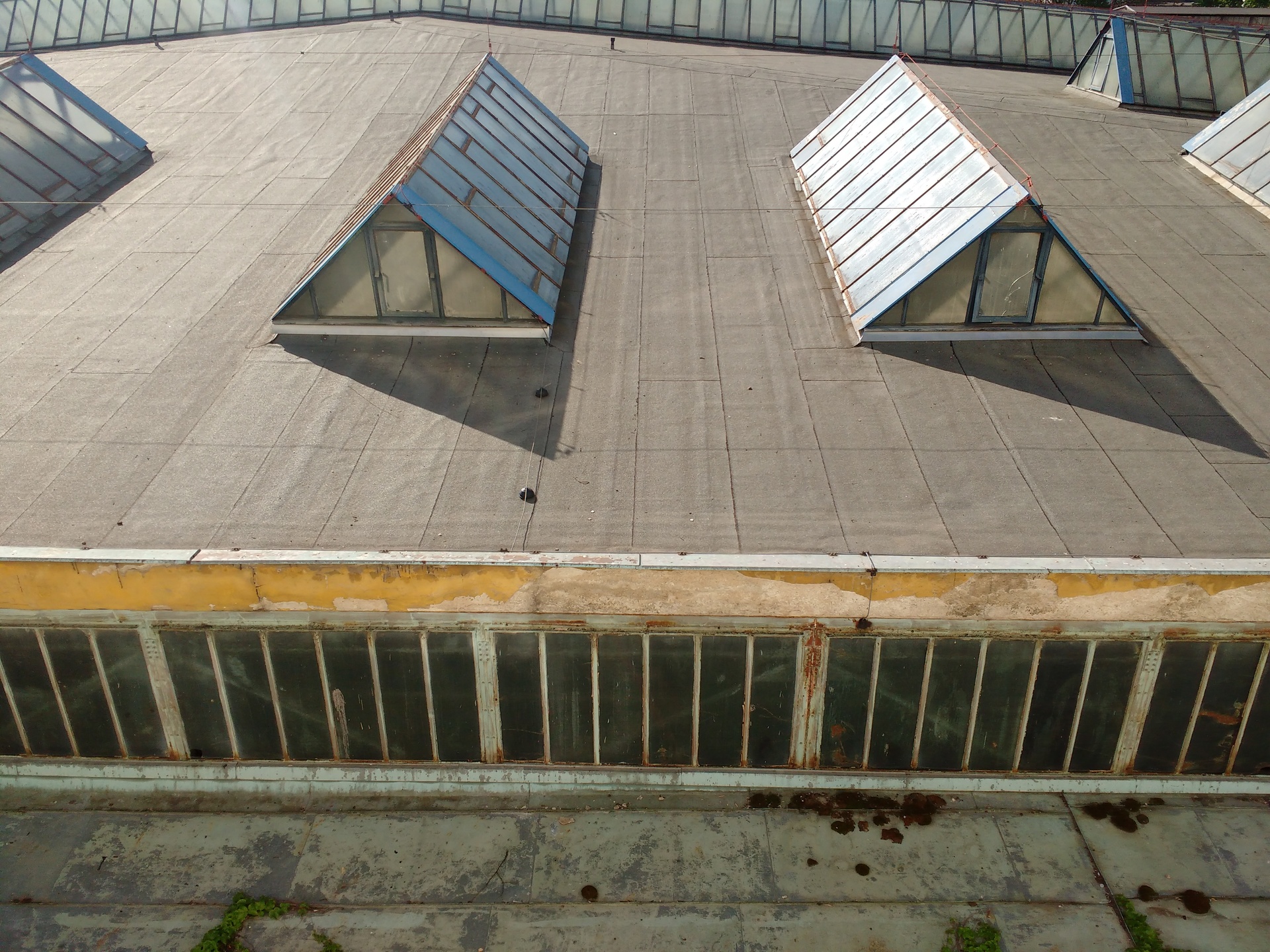 Motorola Moto G (2015)