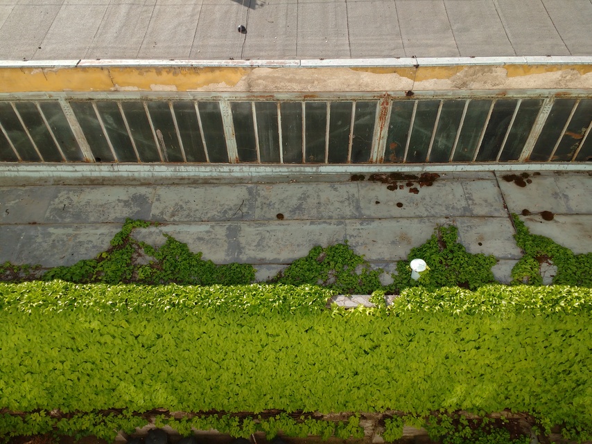 Motorola Moto G (2015)