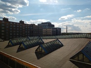 Motorola Moto G (2015)