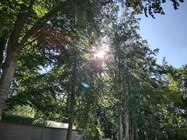 Motorola Moto G 5G Plus