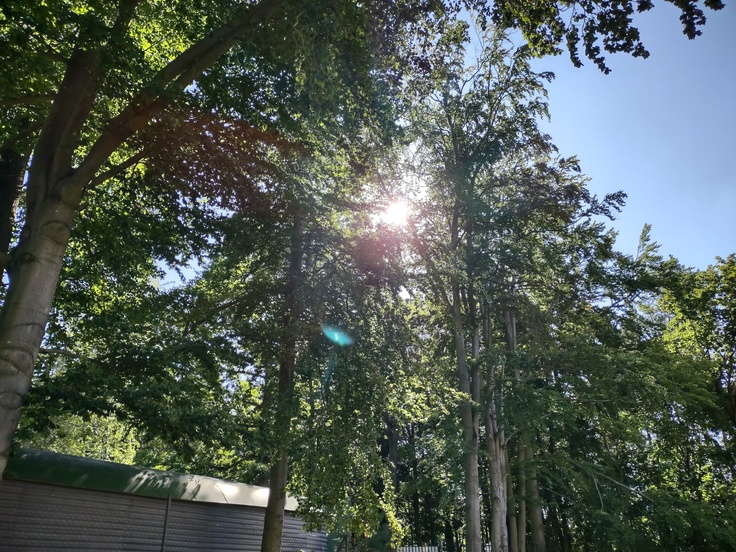 Motorola Moto G 5G Plus