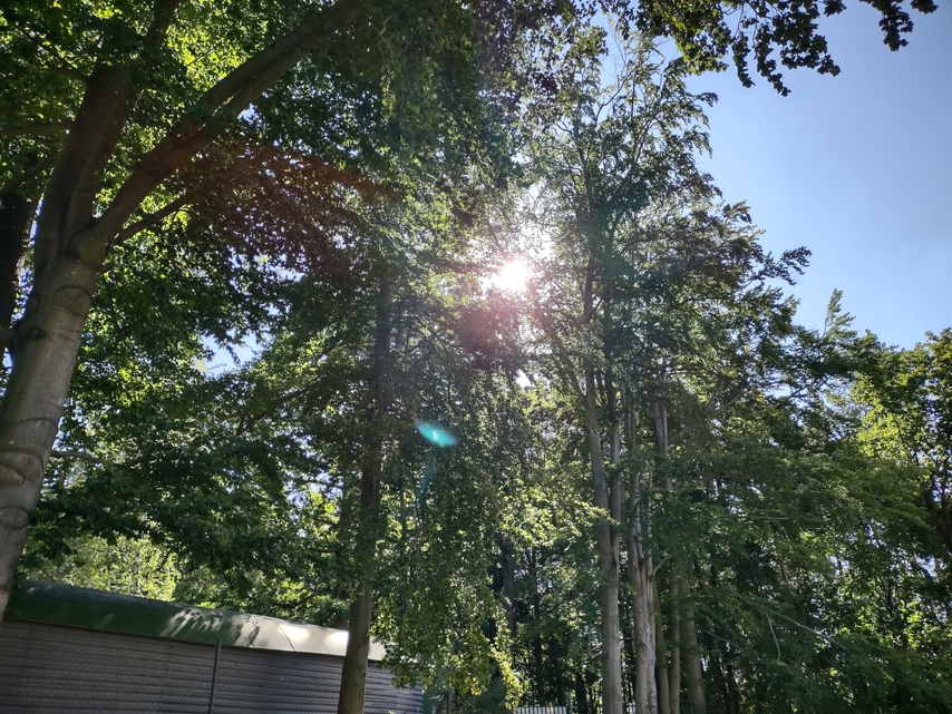 Motorola Moto G 5G Plus