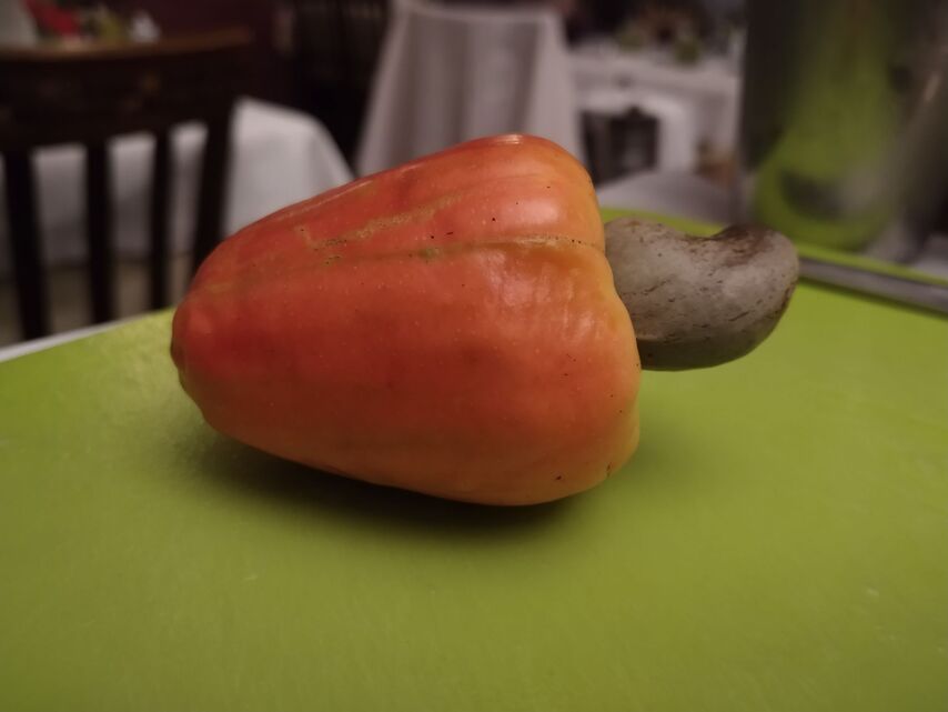 Motorola Moto G7 Plus