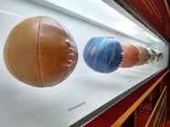 Motorola Moto G7 Plus