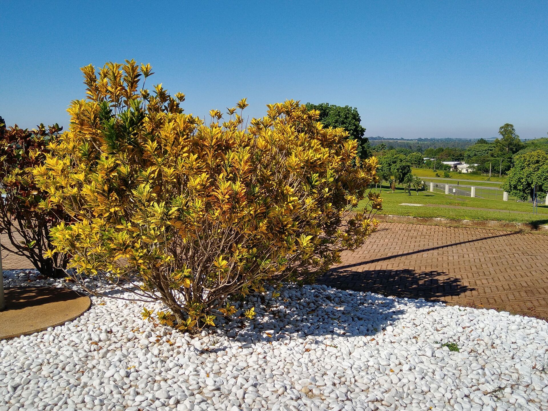 Motorola Moto G7 Plus