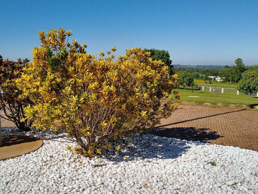 Motorola Moto G7 Plus