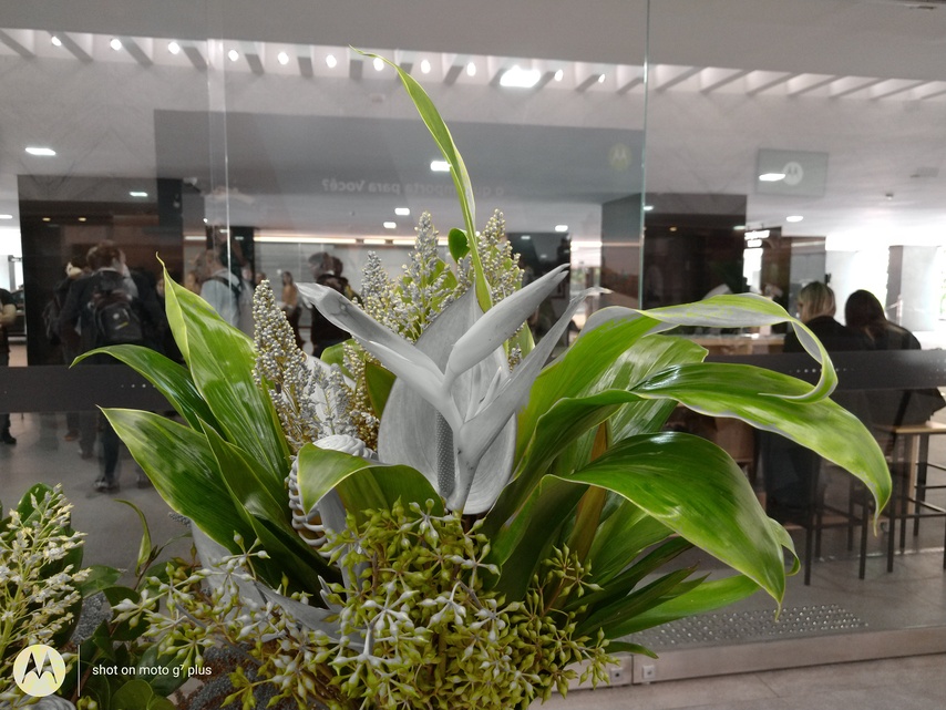 Motorola Moto G7 Plus