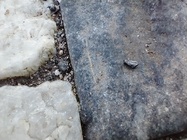 Motorola Moto G8 Power