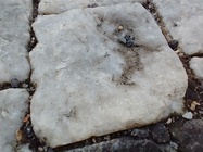 Motorola Moto G8 Power