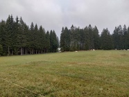 Motorola Moto G82 5G