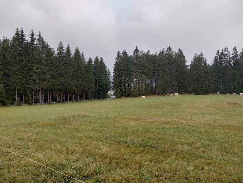 Motorola Moto G82 5G