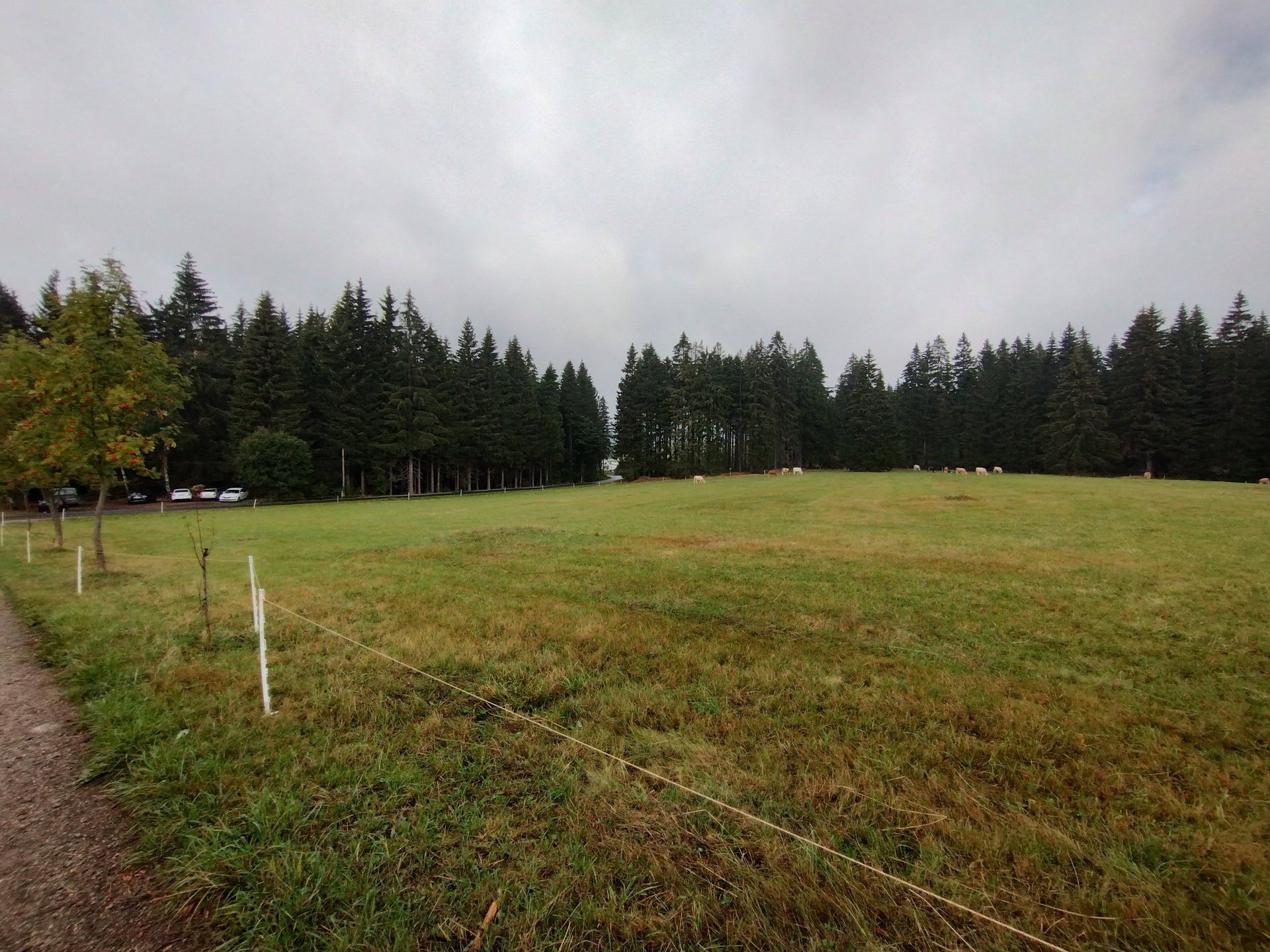 Motorola Moto G82 5G