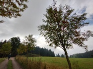 Motorola Moto G82 5G