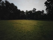 Motorola Moto G9 Plus