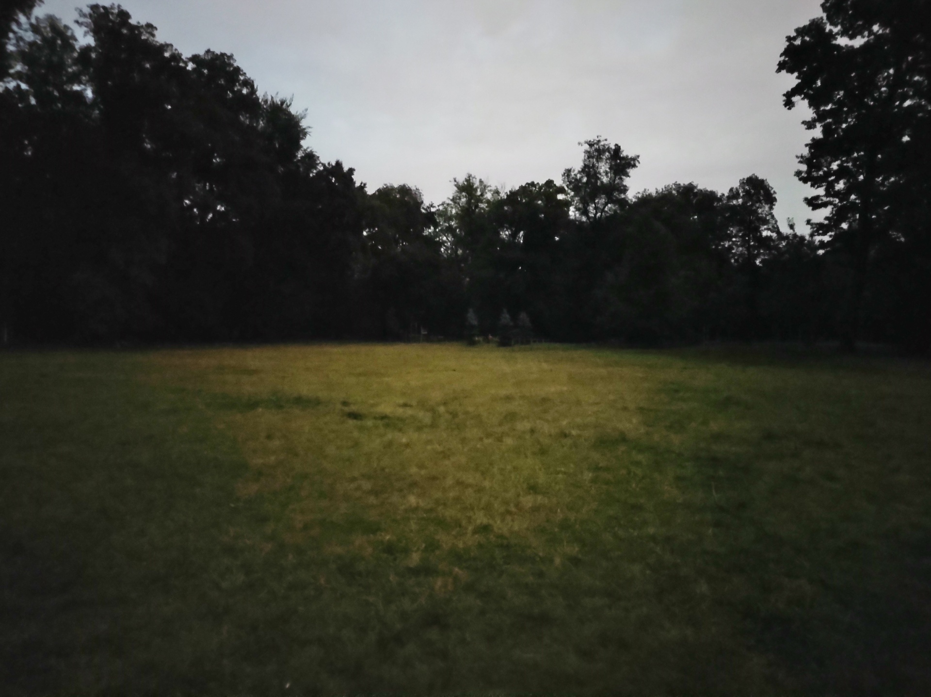 Motorola Moto G9 Plus