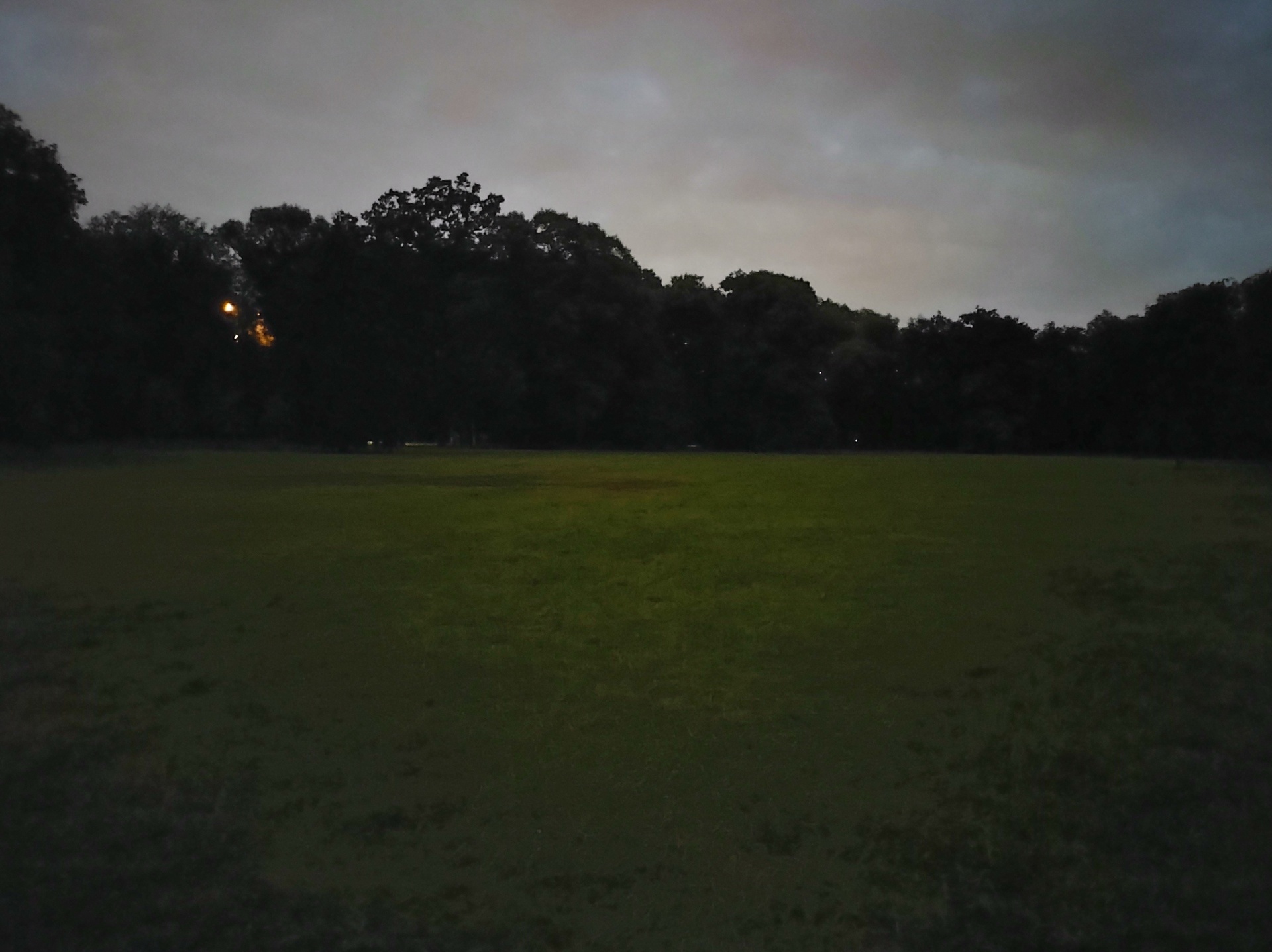 Motorola Moto G9 Plus