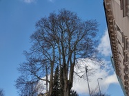 Motorola Moto G9 Power