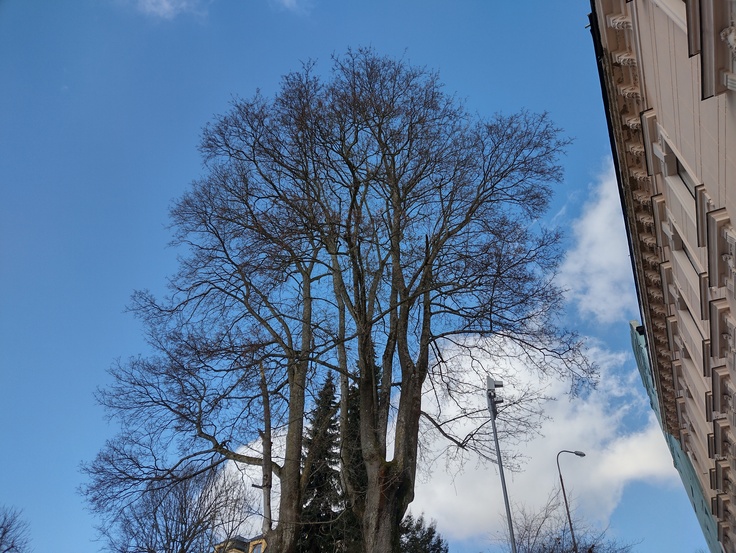 Motorola Moto G9 Power