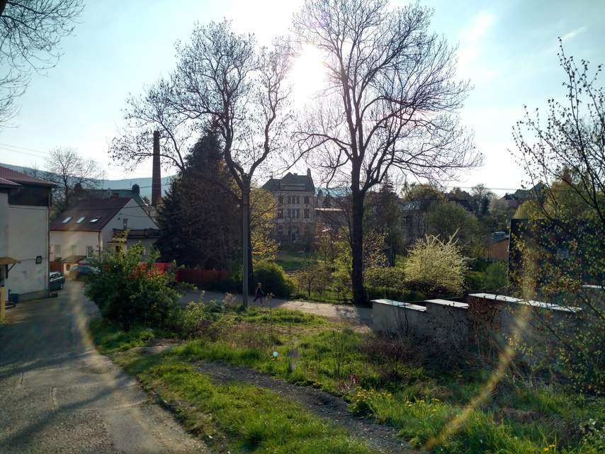 Motorola Moto X Force