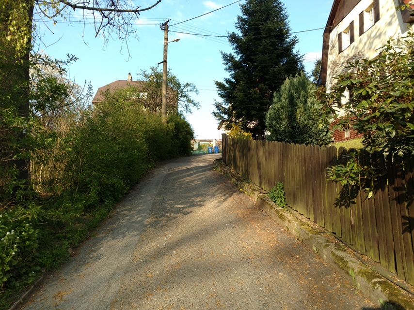 Motorola Moto X Force