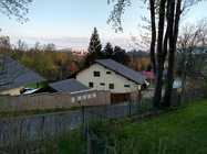 Motorola Moto X Force