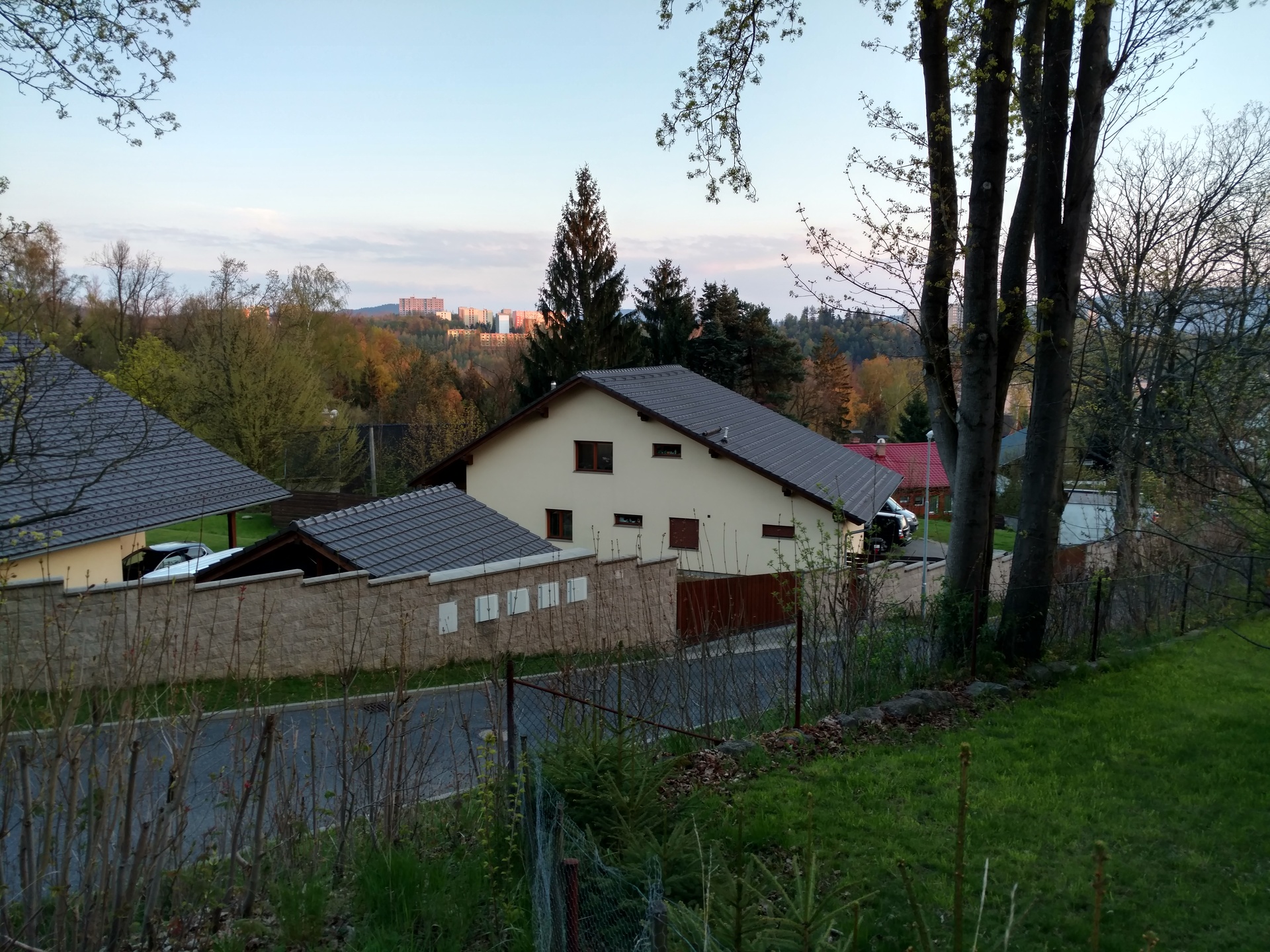 Motorola Moto X Force