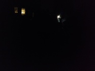 Motorola Moto X Force