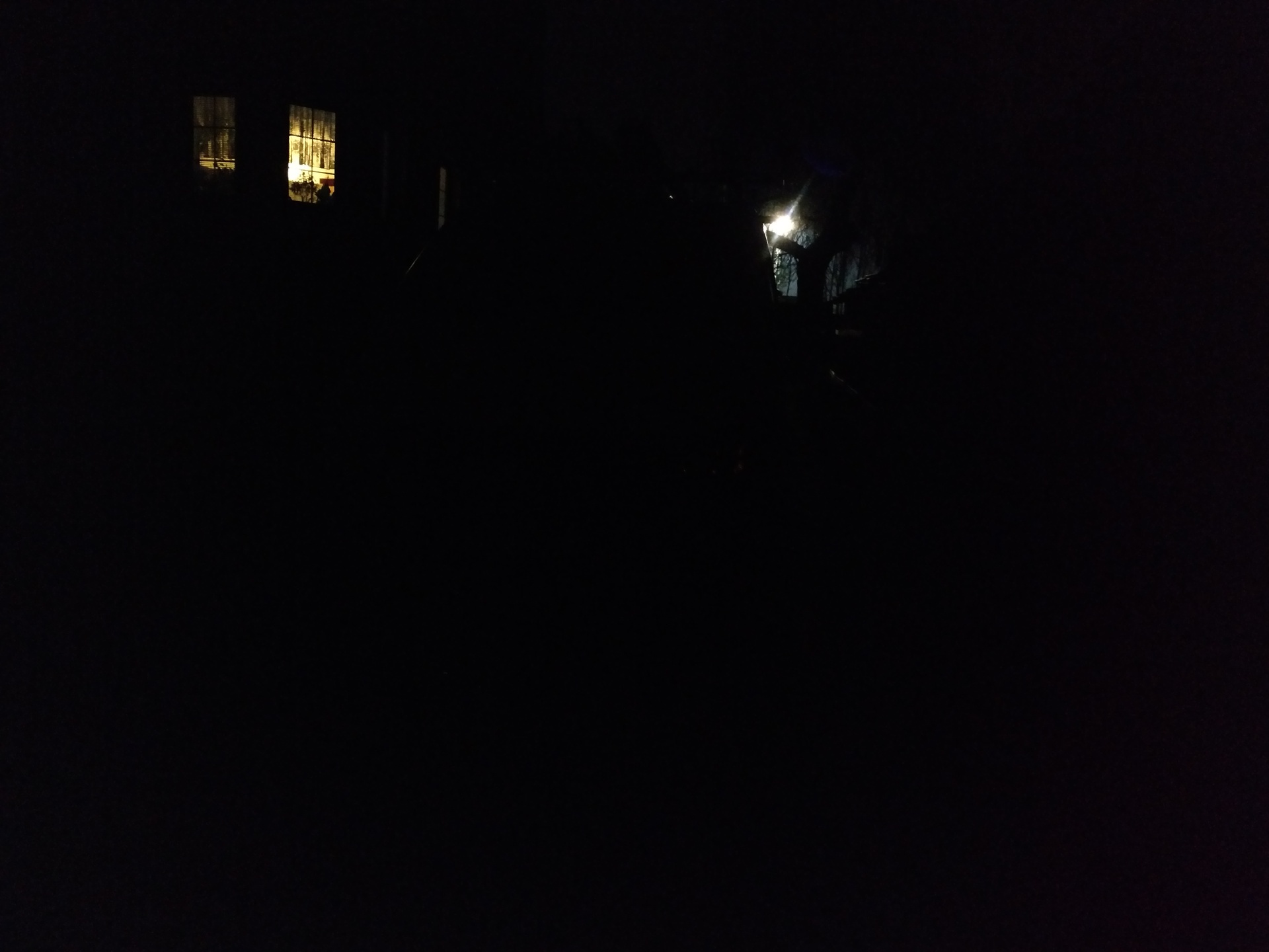 Motorola Moto X Force