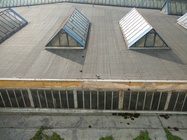 Motorola Moto X Play