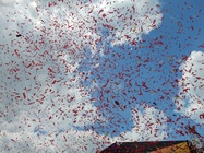 Motorola Moto Z3 Play