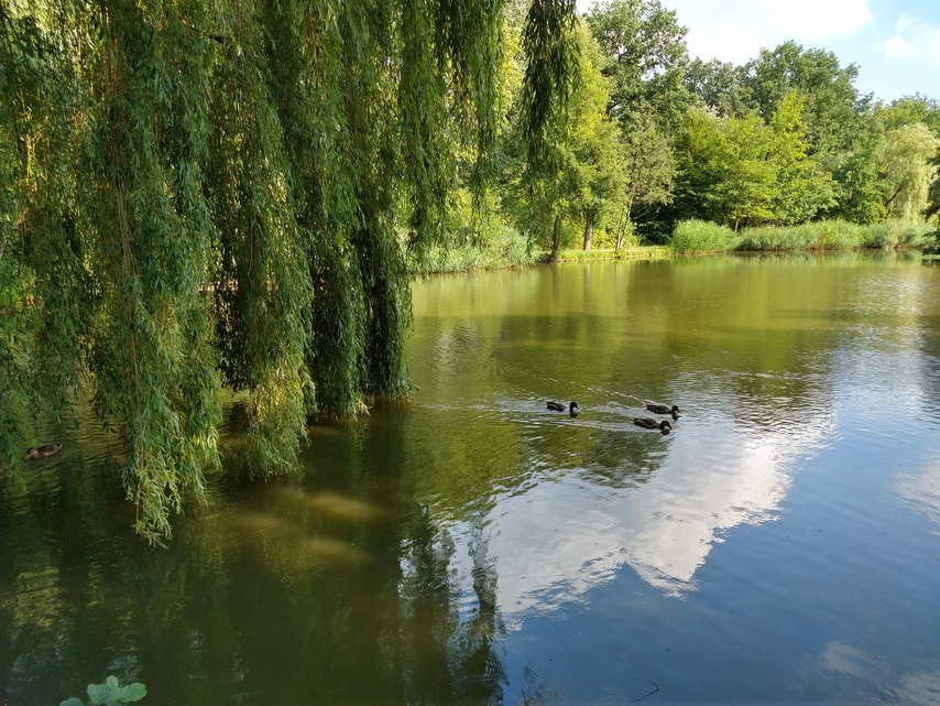 Motorola Moto Z3 Play