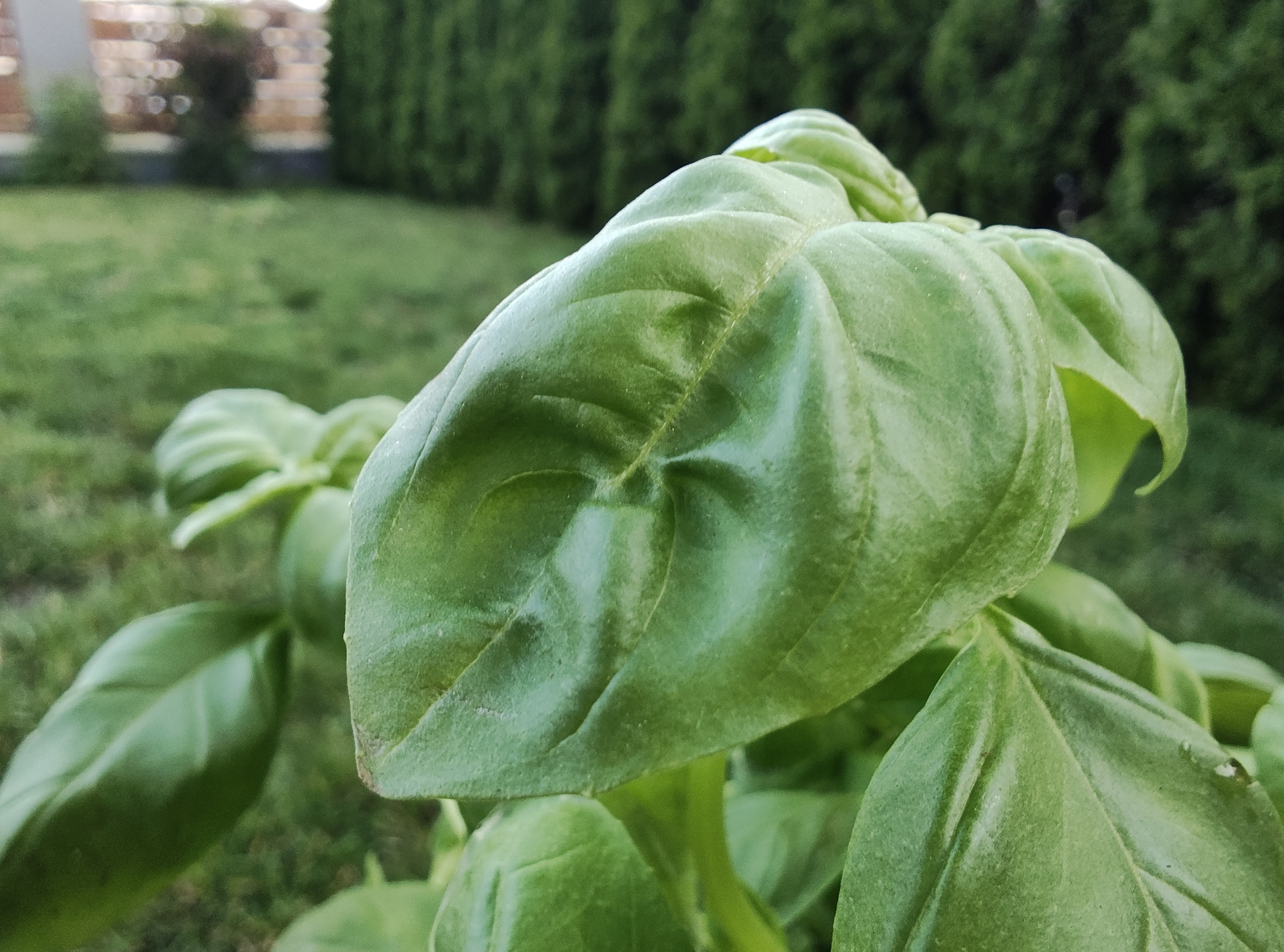 Motorola Razr 40 Ultra