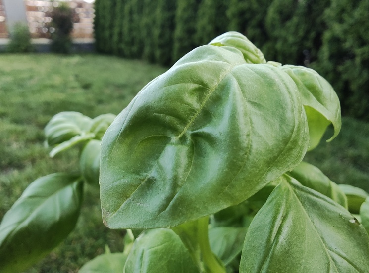 Motorola Razr 40 Ultra