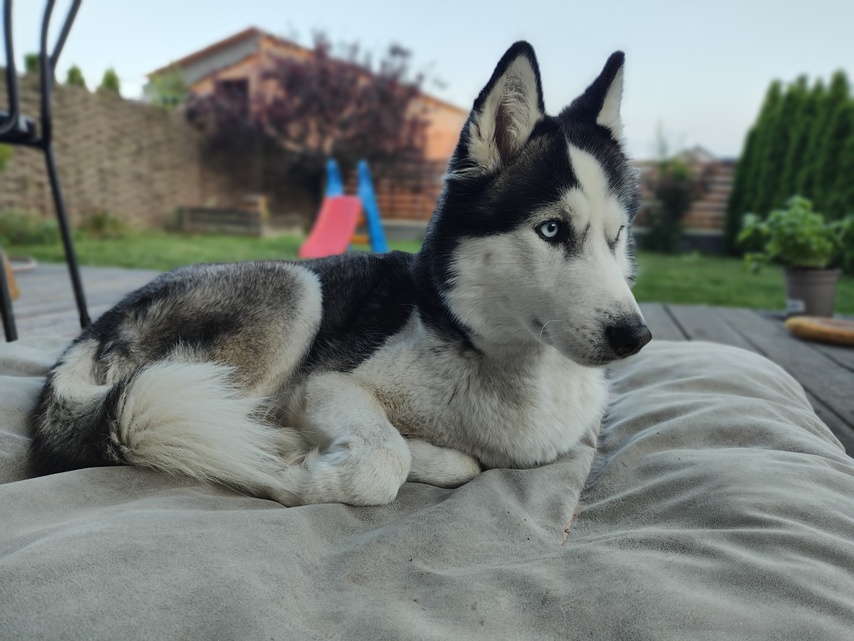 Motorola Razr 40 Ultra