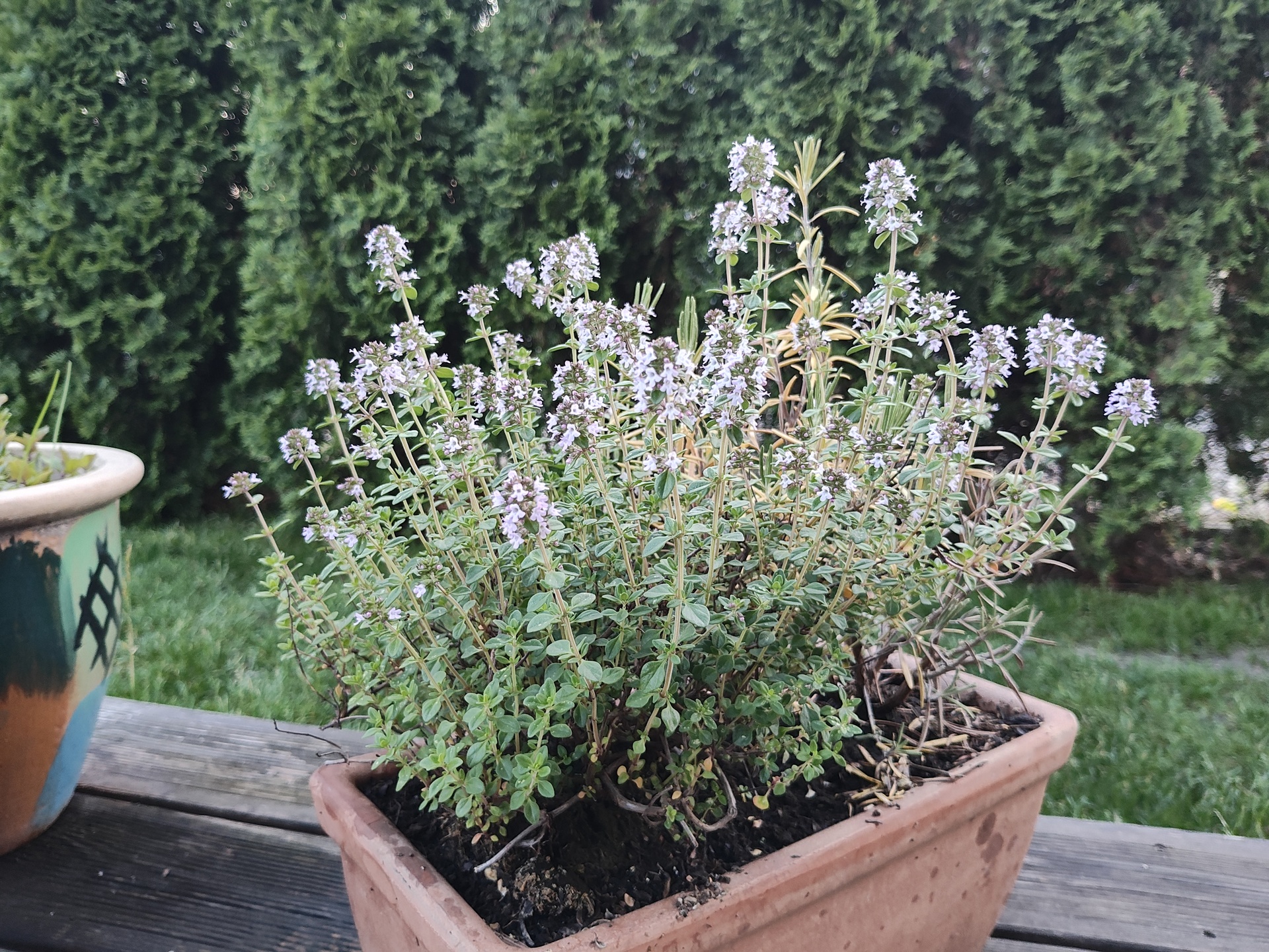 Motorola Razr 40 Ultra