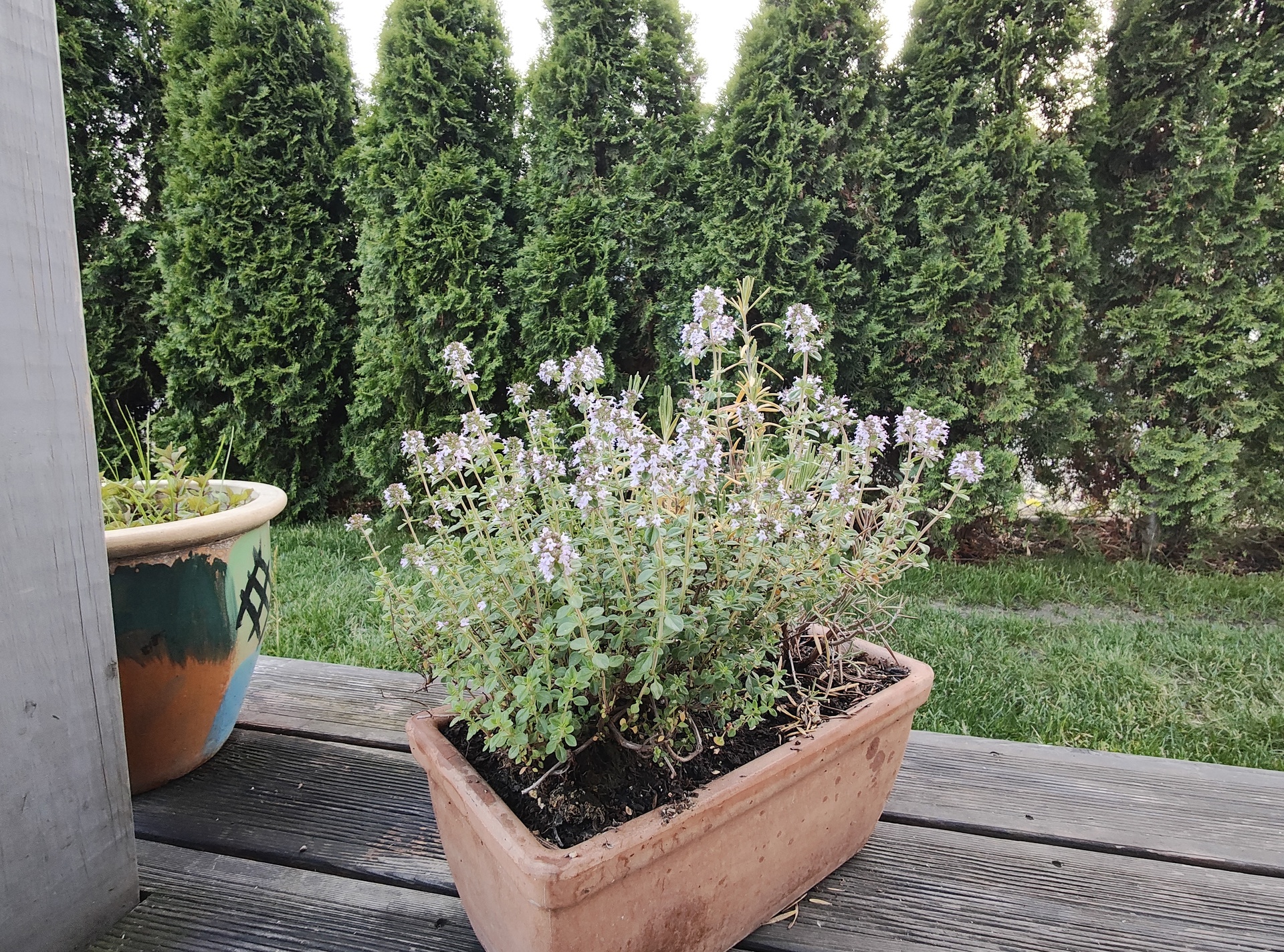 Motorola Razr 40 Ultra