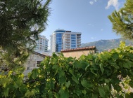 Motorola Razr 40 Ultra