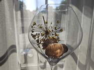 Motorola Razr 50 Ultra