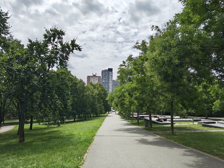 Motorola Razr 50 Ultra