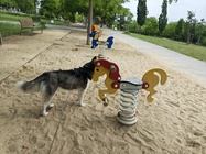 Motorola Razr 50 Ultra