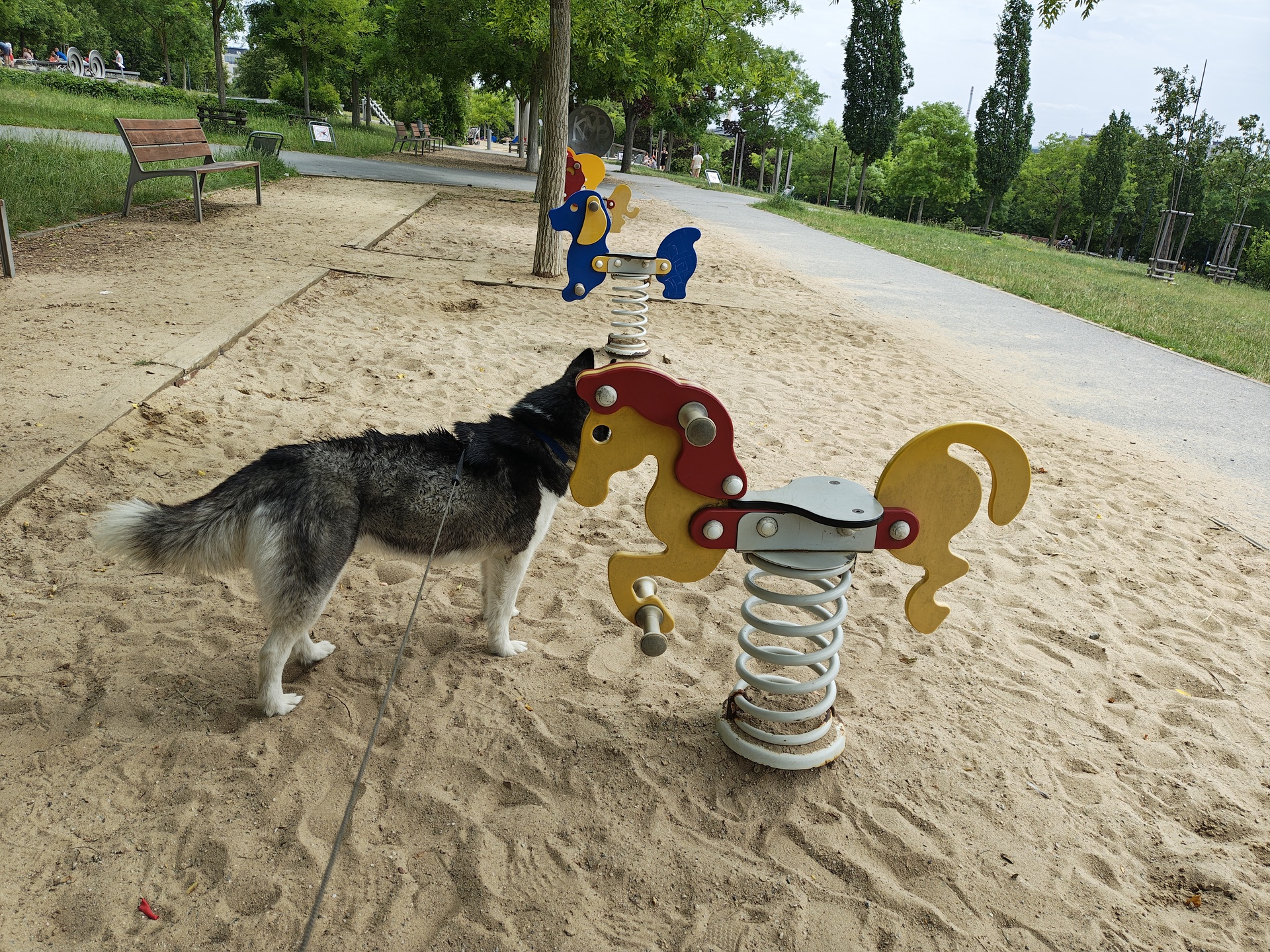 Motorola Razr 50 Ultra