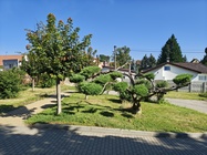 Motorola Razr 50 Ultra