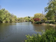 Motorola Razr 60 Ultra