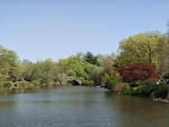 Motorola Razr 60 Ultra