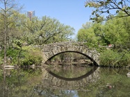 Motorola Razr 60 Ultra