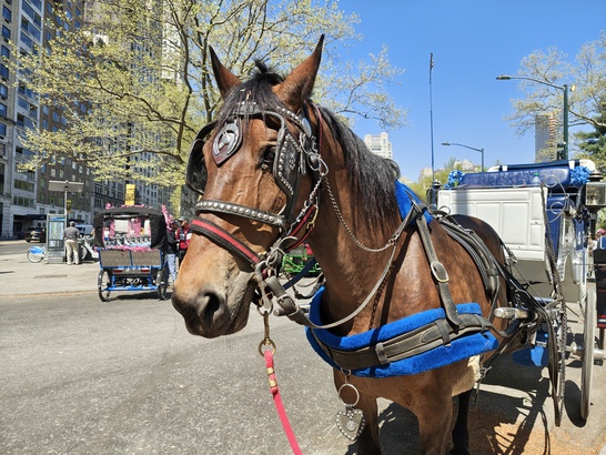 Motorola Razr 60 Ultra