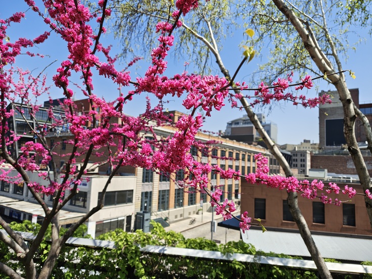 Motorola Razr 60 Ultra