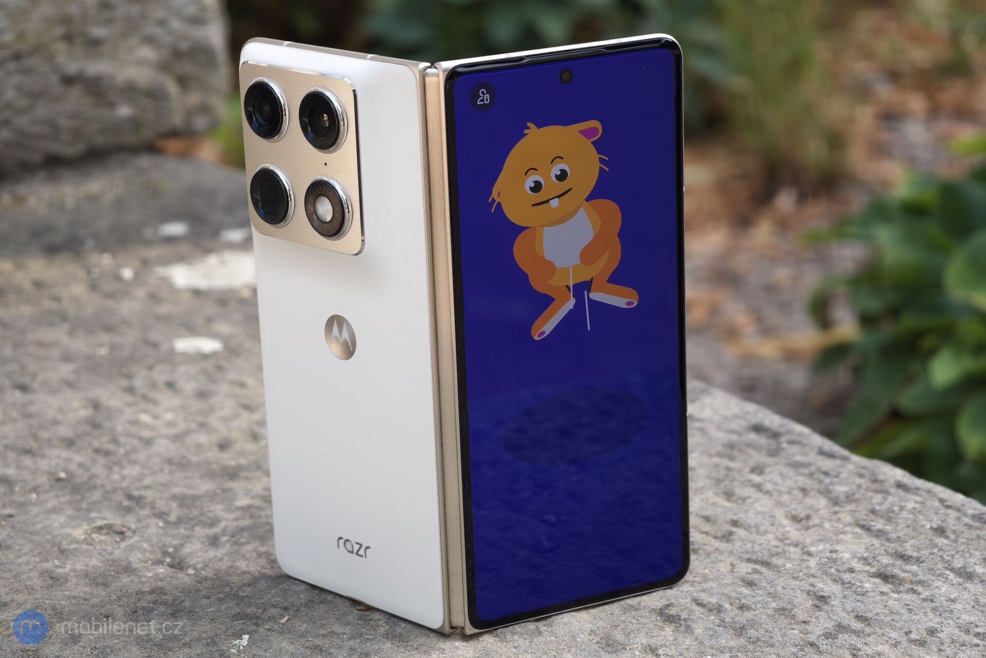 Motorola Razr Fold