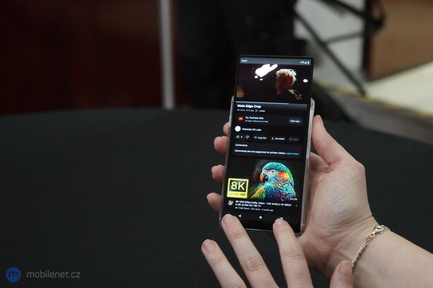 Motorola Rizr (koncept)